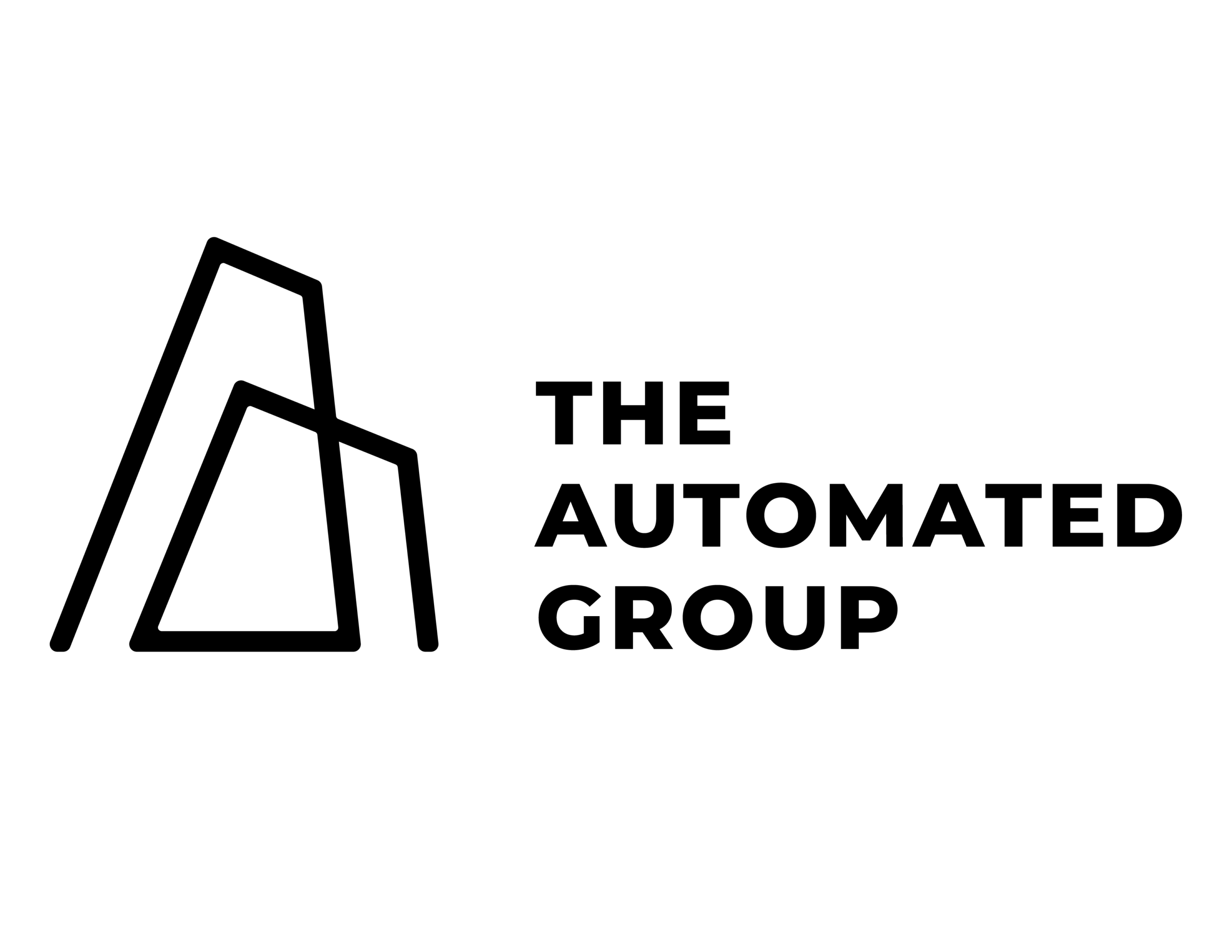 The Automated Group